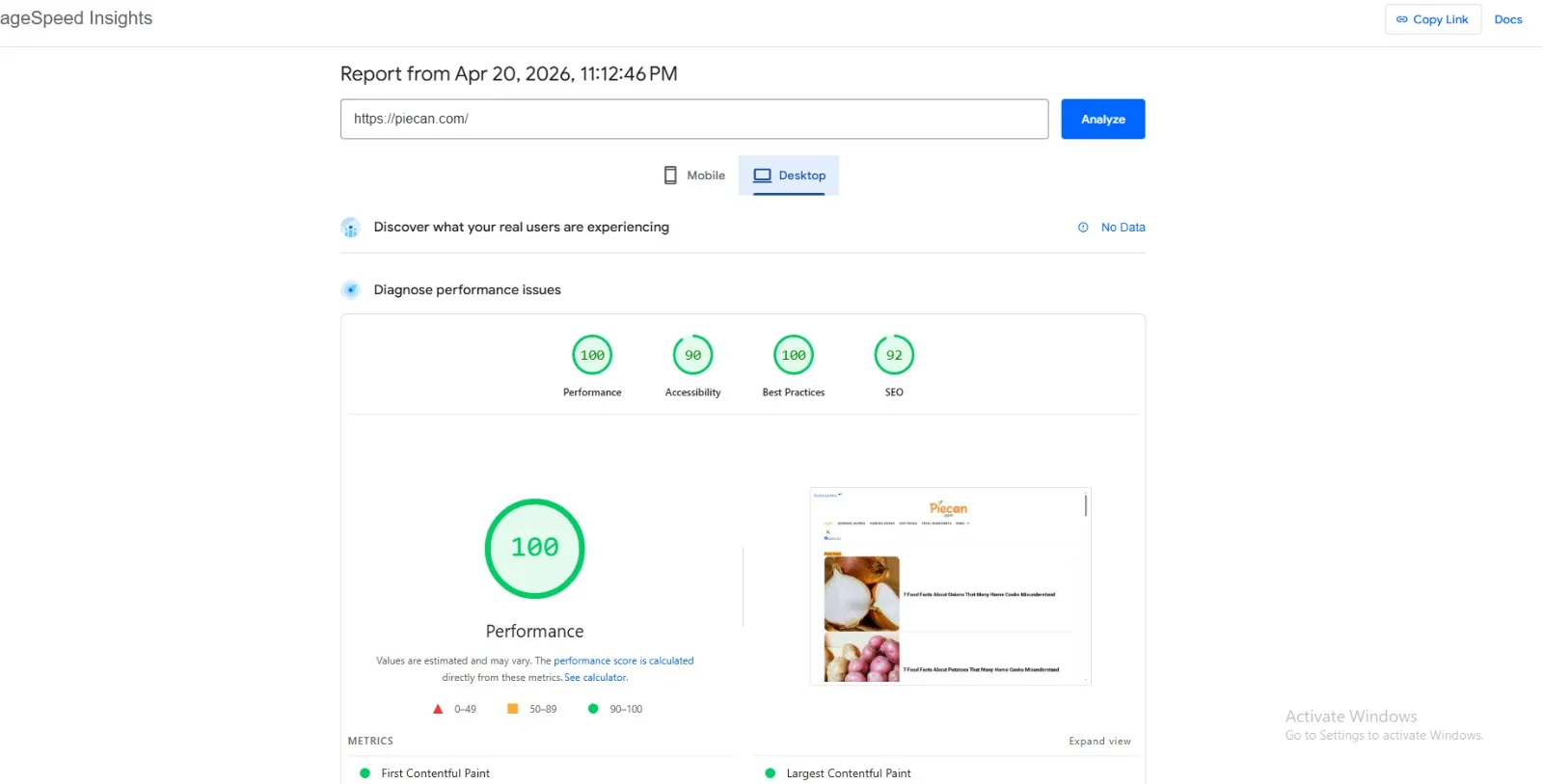 Piecan Desktop speed report