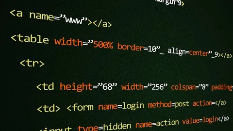 Custom Web Application Development Workspace